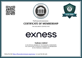 Is Exness a Book Exploring the Trading Platform