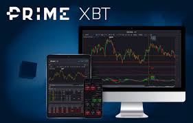 Discovering PrimeXBT Hub Your Gateway to Revolutionary Trading