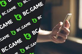 BCStavka APK Guide Your Ultimate Betting Companion -914487841