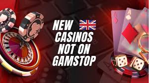 Exploring Niche Online Casinos Opportunities Beyond Common Platforms