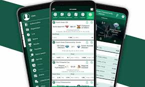 BetWinner A Comprehensive Guide to Online Betting in Ukraine